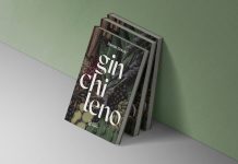 gin chileno libro