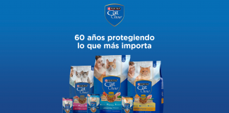 60 gato