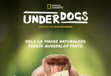 Underdogs