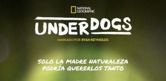 Underdogs