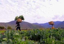 lluvias agro
