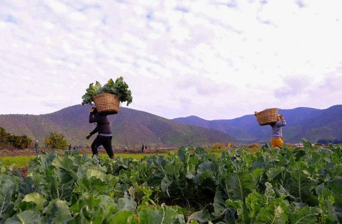 lluvias agro