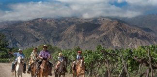 Salta