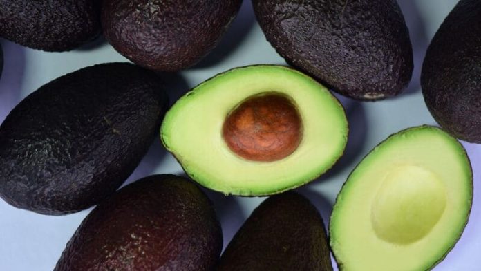 palta