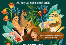 Festival