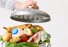 alimentos