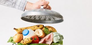 alimentos