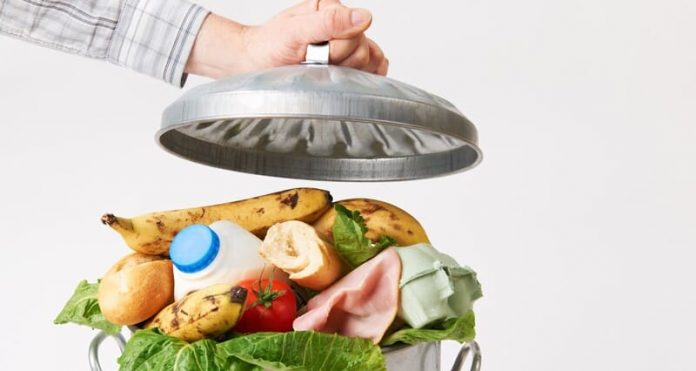 alimentos