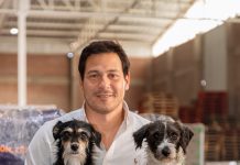 Nutrición por etapas: la clave veterinaria para prevenir enfermedades y prolongar la vida de perros y gatos Nutrición