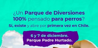 Experiencias