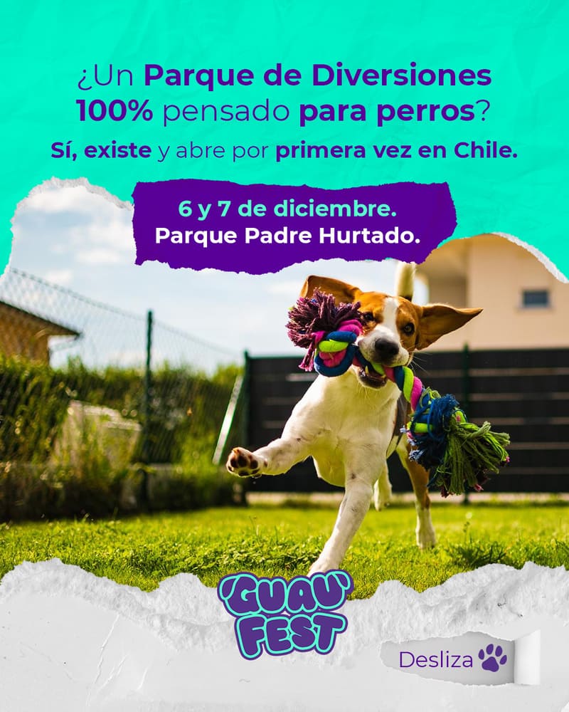 Experiencias