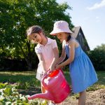 Pequeños exploradores