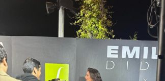 Emilia DIdes