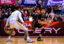 Los Leones