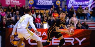 Los Leones