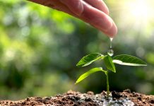 Valmet obtiene medalla de oro en evaluación global de sostenibilidad de EcoVadis Valmet