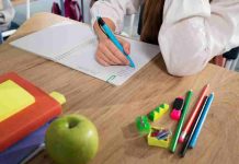 Proyecto liderado por UFRO demostró que reducir el consumo de alimentos ultraprocesados mejora resultados en el SIMCE UFRO