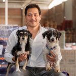 Golpe de calor: cómo la nutrición ayuda a proteger a las mascotas durante el verano