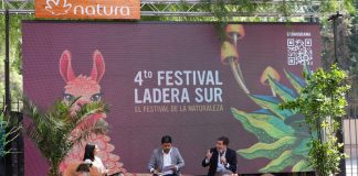 Festival Ladera Sur