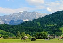 Celebra el Día Internacional de las Montañas con Electrolux: pequeñas acciones desde el hogar para cuidar el planeta montañas