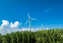 IA, transición verde y cuidado humano: el nuevo mapa de empleos que marcará 2030