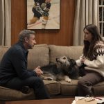 HBO Max: “Rooster” la nueva serie de Steve Carell que llega en marzo de 2026 Rooster