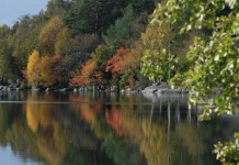 Essity entra al selecto 4 % de compañías líderes en sostenibilidad global al ser incluida en la Lista A de CDP Essity