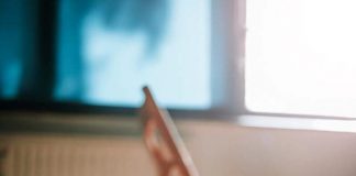 Mascotas y ola de calor: Claves para protegerlos manteniendo una temperatura adecuada en los espacios interiores y exteriores de tu hogar