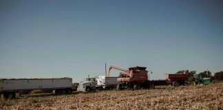 El rol clave de la maquinaria agrícola en la prevención y combate de incendios forestales en Chile