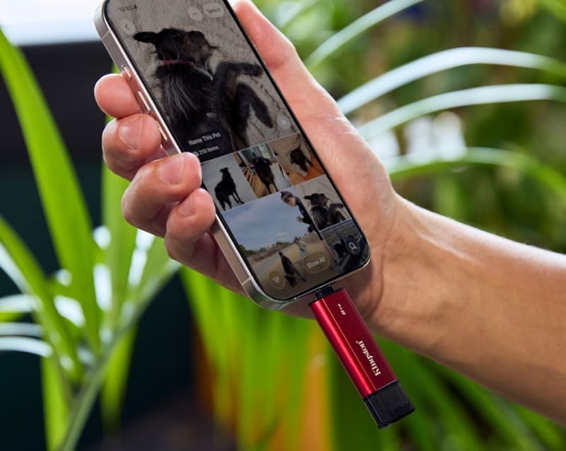 ¿Eres un “fotógrafo de verano”? Errores frecuentes que debes evitar. Kingston