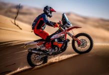 Tomás de Gavardo vuelve a meterse entre los 30 mejores en el Rally Dakar
