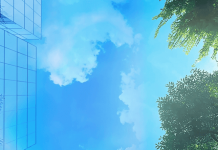 Cirion Technologies refuerza los compromisos ESG con importantes logros en 2024 Cirion