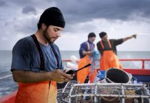 Los aportes estratégicos de la conectividad satelital al sector marítimo y pesquero