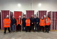 Exportación de cerezas: las claves para reforzar los movimientos de cargas refrigeradas