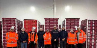 Exportación de cerezas: las claves para reforzar los movimientos de cargas refrigeradas