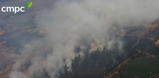 incendios forestales