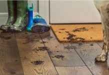 La limpieza del hogar en verano está marcada principalmente por factores geográficos, ya que, dependiendo de la zona, cambian las herramientas y las rutinas de aseo para evitar la acumulación de polvo y suciedad.