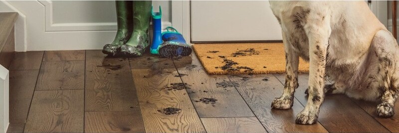 La limpieza del hogar en verano está marcada principalmente por factores geográficos, ya que, dependiendo de la zona, cambian las herramientas y las rutinas de aseo para evitar la acumulación de polvo y suciedad.