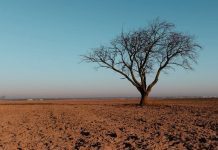 ¿A quién afecta el cambio climático? 65% de participantes de estudios considera que el riesgo es mayor para otros que para sí mismos.