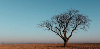 ¿A quién afecta el cambio climático? 65% de participantes de estudios considera que el riesgo es mayor para otros que para sí mismos.