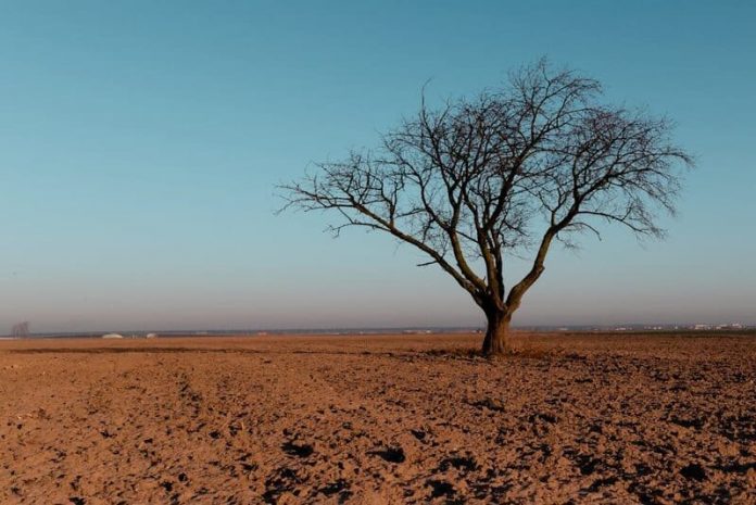 ¿A quién afecta el cambio climático? 65% de participantes de estudios considera que el riesgo es mayor para otros que para sí mismos.