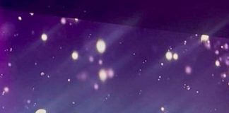 Kia Chile es reconocido como Partnership of the Year en la Global Distributors Convention 2026