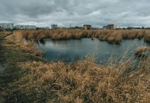 El cuidado del agua comienza en casa: hábitos y soluciones eficientes para un consumo responsable