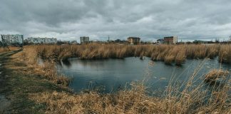 El cuidado del agua comienza en casa: hábitos y soluciones eficientes para un consumo responsable