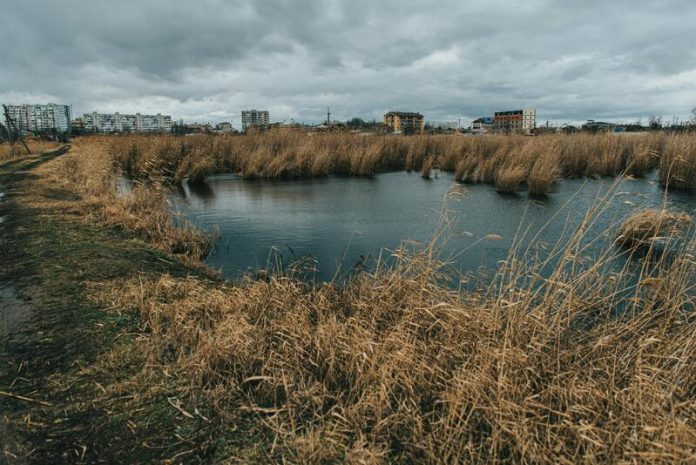 El cuidado del agua comienza en casa: hábitos y soluciones eficientes para un consumo responsable