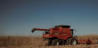 Agroplanet: Respaldo técnico es clave para agricultura productiva