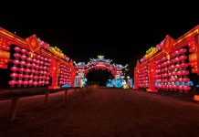 El Año Nuevo Chino y la tradición de los faroles llegan a Chile a través del Tianfu Festival El Año Nuevo Chino y la tradición de los faroles llegan a Chile a través del Tianfu Festival