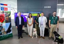 Aeropuerto Santiago de Chile registra récord de 9.968 arribos de mascotas en 2025: 70% llegaron desde el extranjero