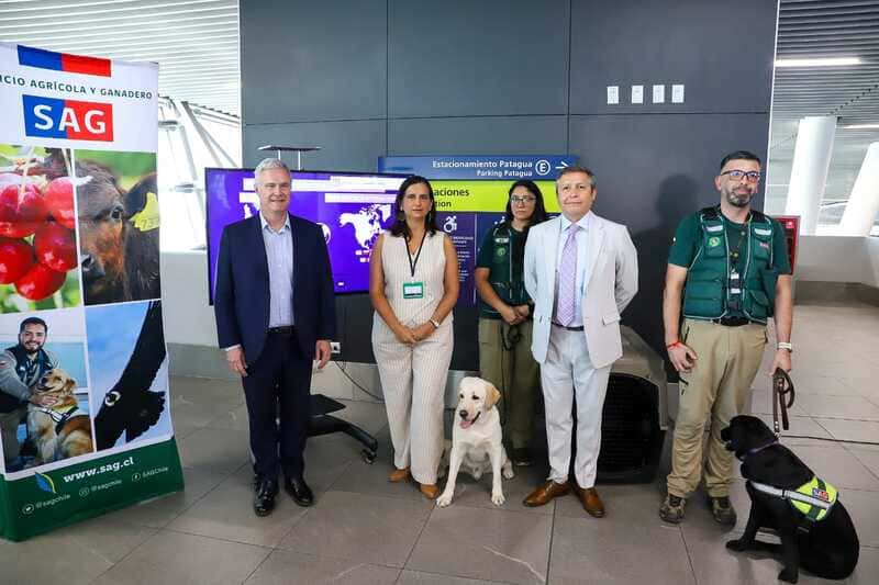 Aeropuerto Santiago de Chile registra récord de 9.968 arribos de mascotas en 2025: 70% llegaron desde el extranjero