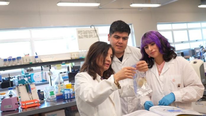 unnamed Desarrollan tratamiento de triple acción contra la dermatitis atópica